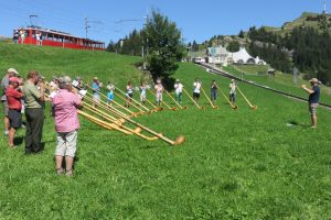 Die Alphornjurorinnen und -juroren bei der Probearbeit